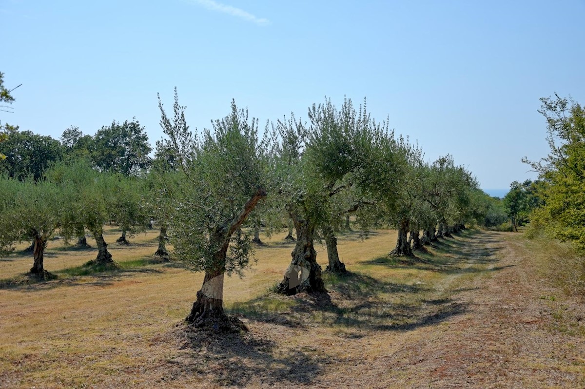 Terreno Poreč, 80000m2