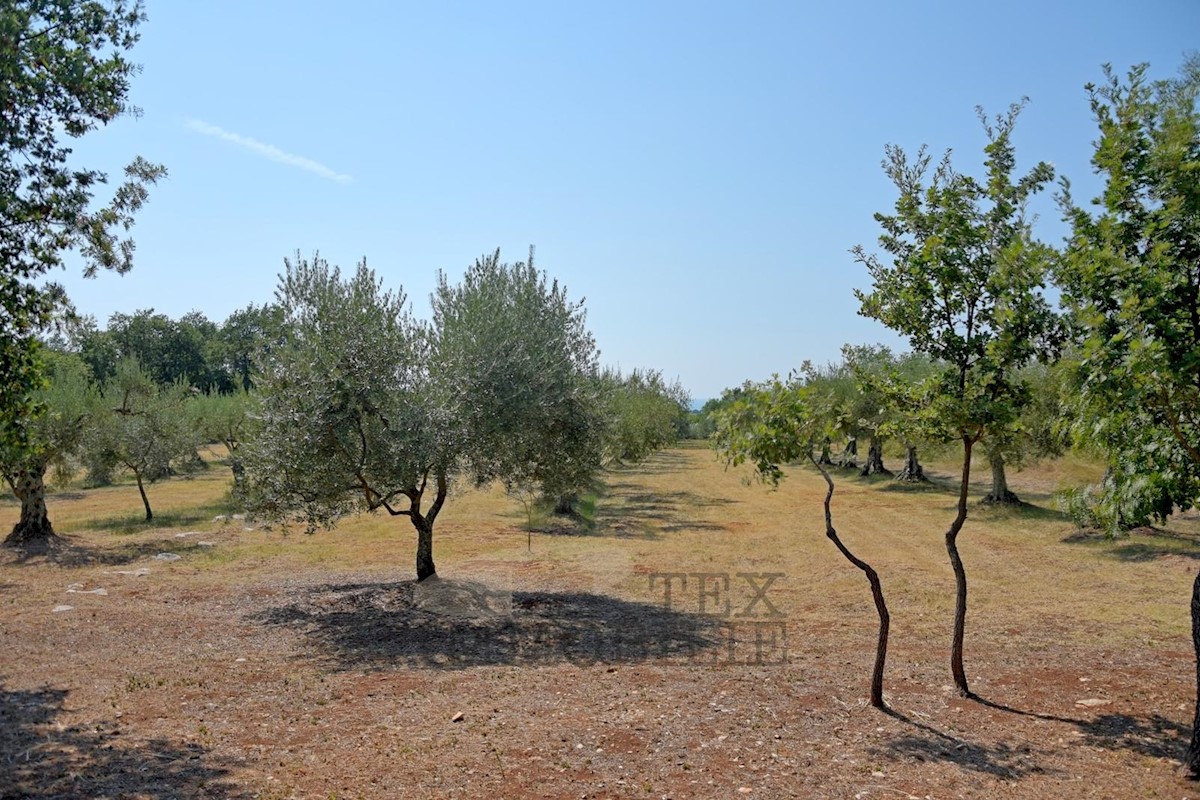 Terreno Poreč, 80000m2