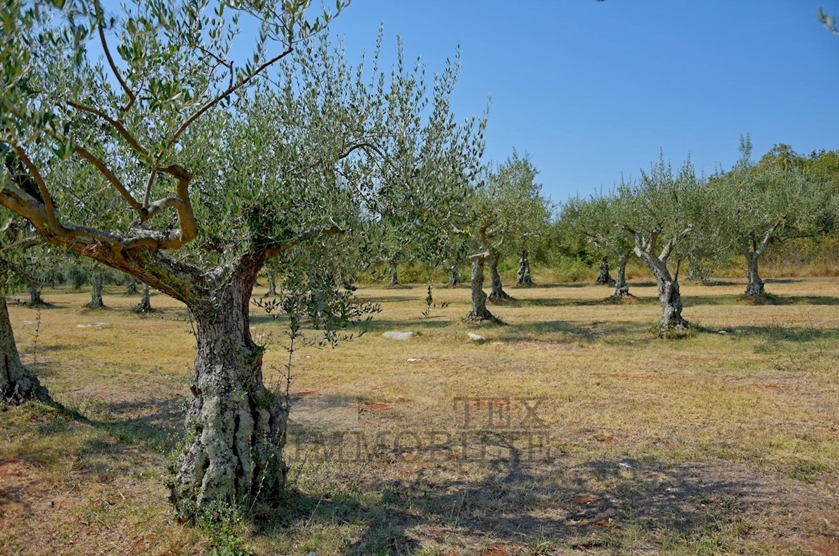 Terreno Poreč, 80000m2