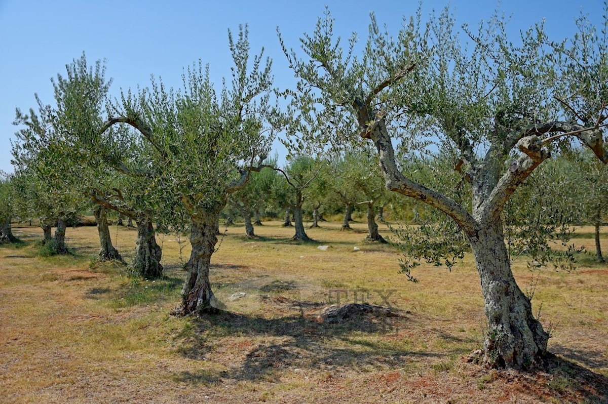 Terreno Poreč, 80000m2