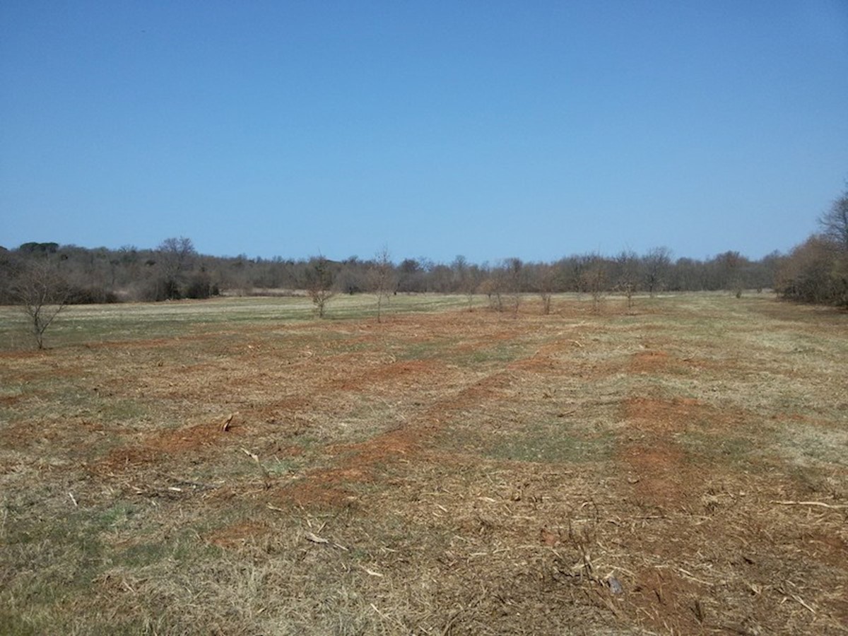 Terreno in Parenzo, Saladinka