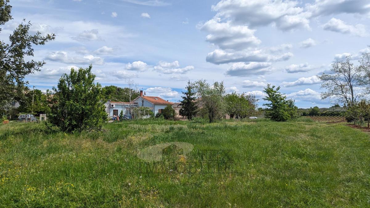 Kaštelir - terreno edificabile per la costruzione di una villa