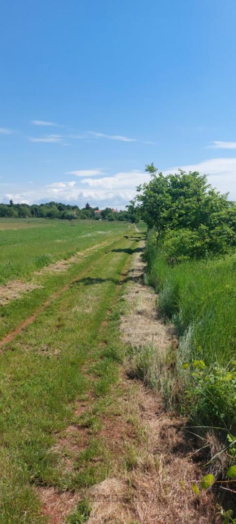 Casetta con ampio terreno edificabile – ottima opportunità di investimento in Istria!