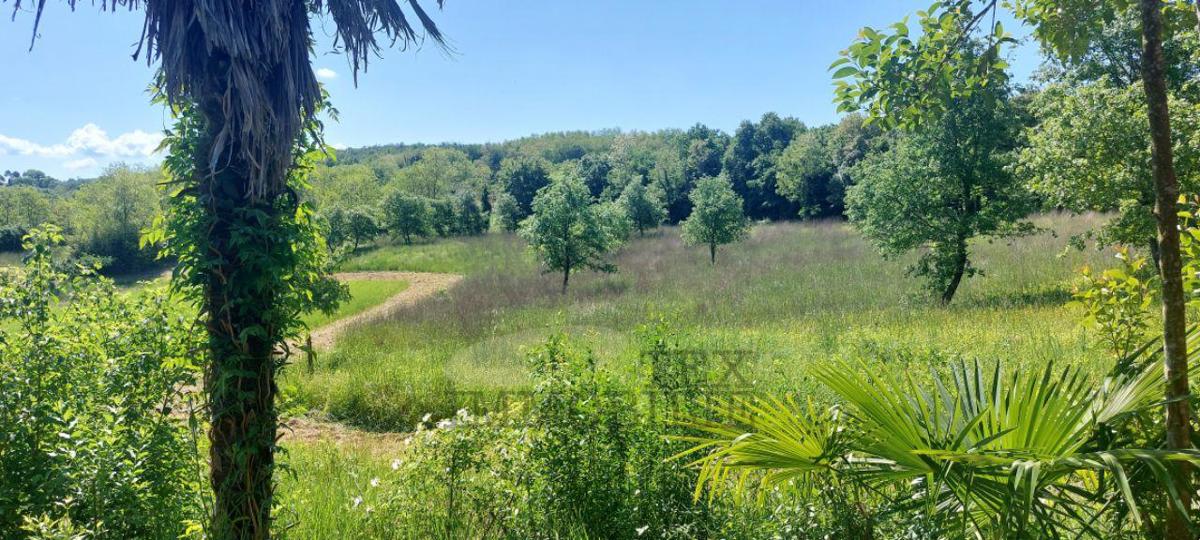 Casetta con ampio terreno edificabile – ottima opportunità di investimento in Istria!