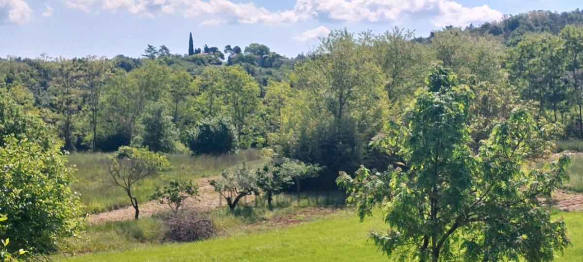 Casetta con ampio terreno edificabile – ottima opportunità di investimento in Istria!