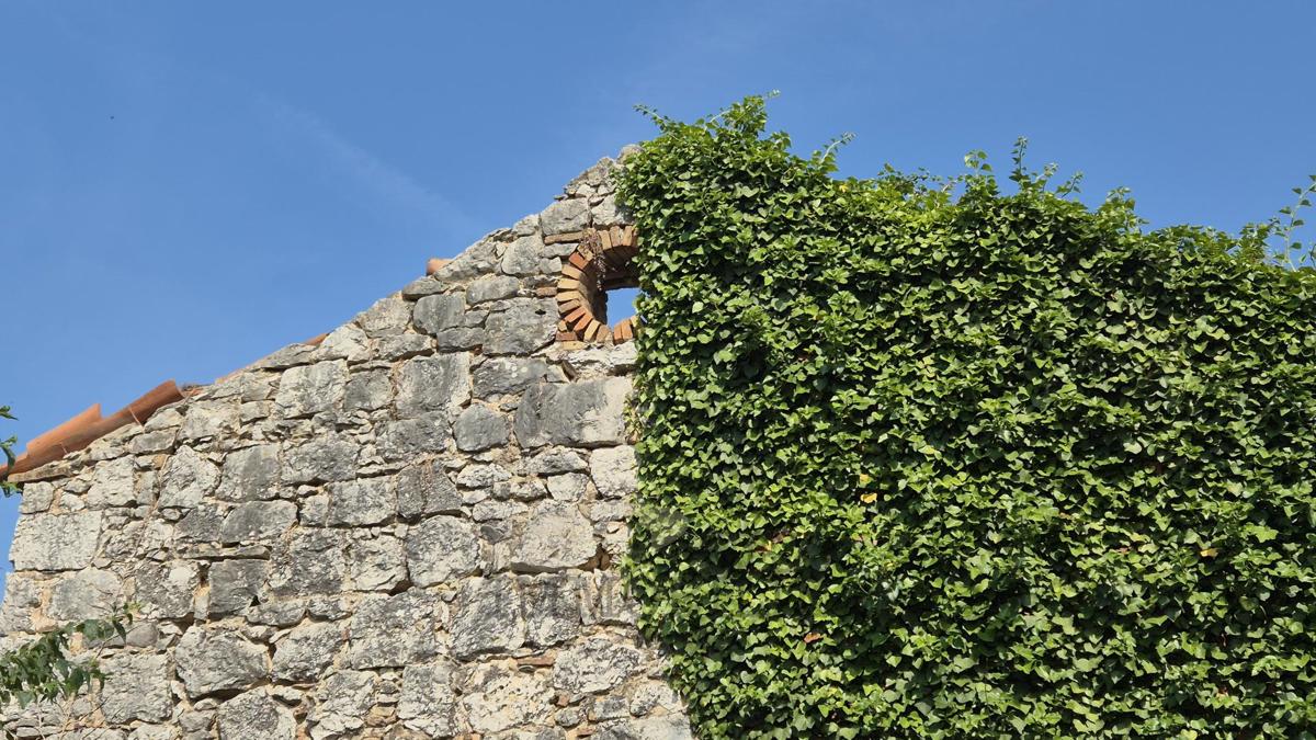 Casa in pietra istriana da ristrutturare – a 4,5 km dal mare e dal centro di Parenzo