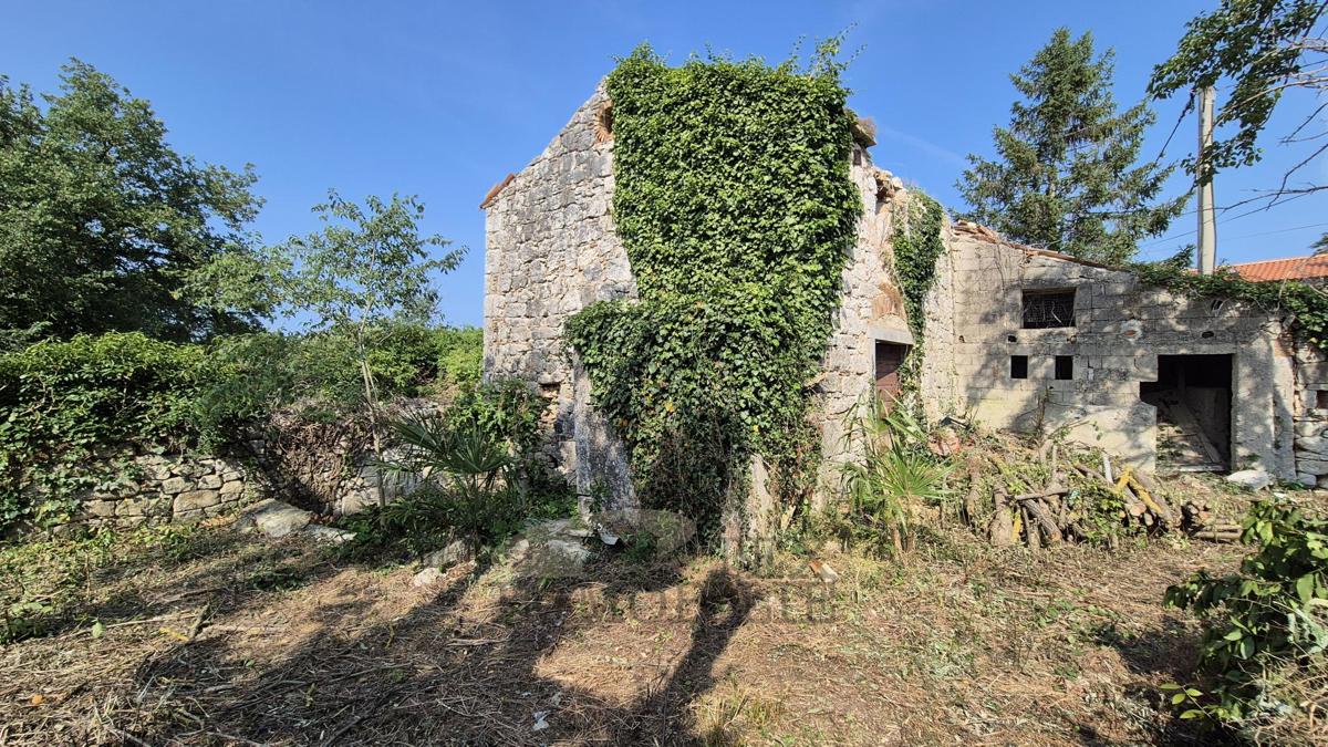 Casa in pietra istriana da ristrutturare – a 4,5 km dal mare e dal centro di Parenzo