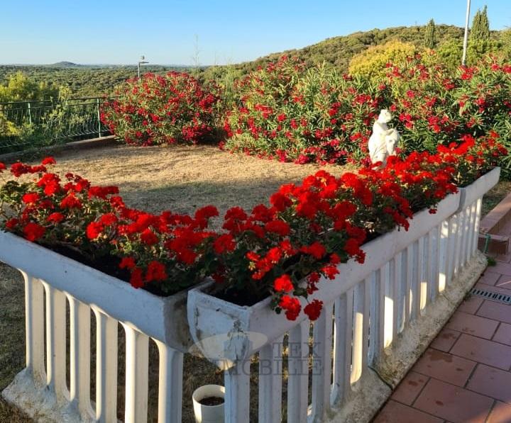 Monolocale a Orsera, a 250 metri dal mare