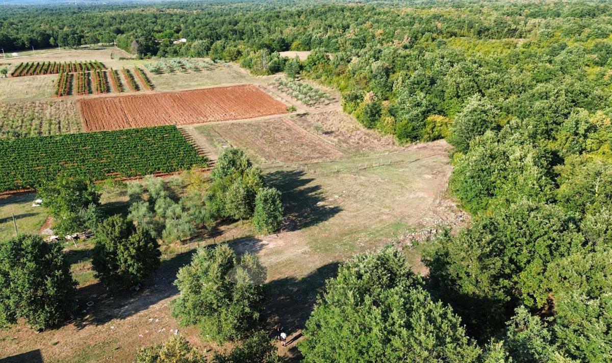 erreno edificabile nelle vicinanze di Svetog Lovreč