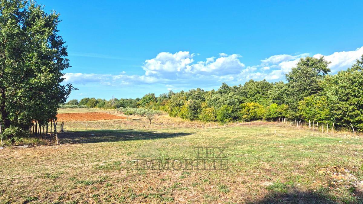 erreno edificabile nelle vicinanze di Svetog Lovreč