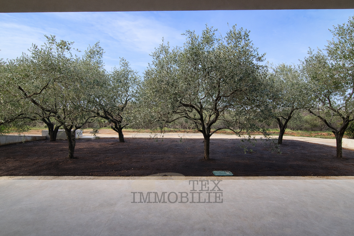 Casa con piscina vicino a Parenzo, 167 m2