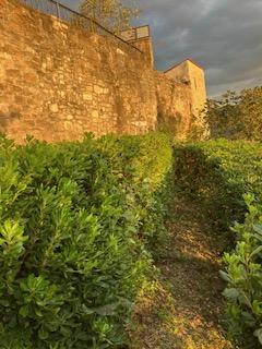 Motovun – Affascinante Casa in Pietra con Terrazza e Vista Panoramica