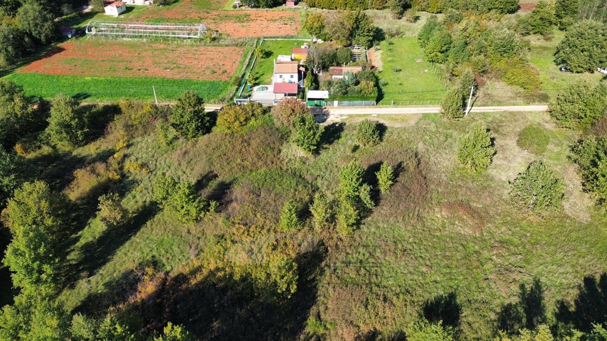 Terreni agricoli Žbandaj, Poreč, 5.930m2