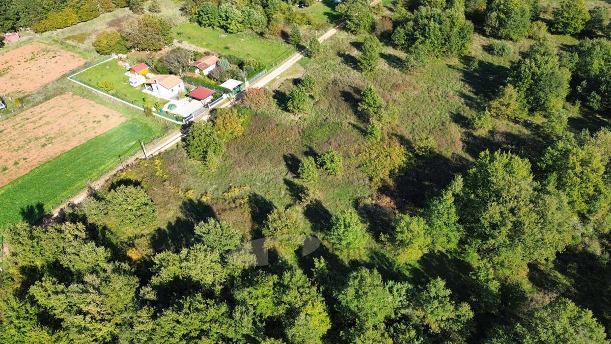 Terreni agricoli Žbandaj, Poreč, 5.930m2