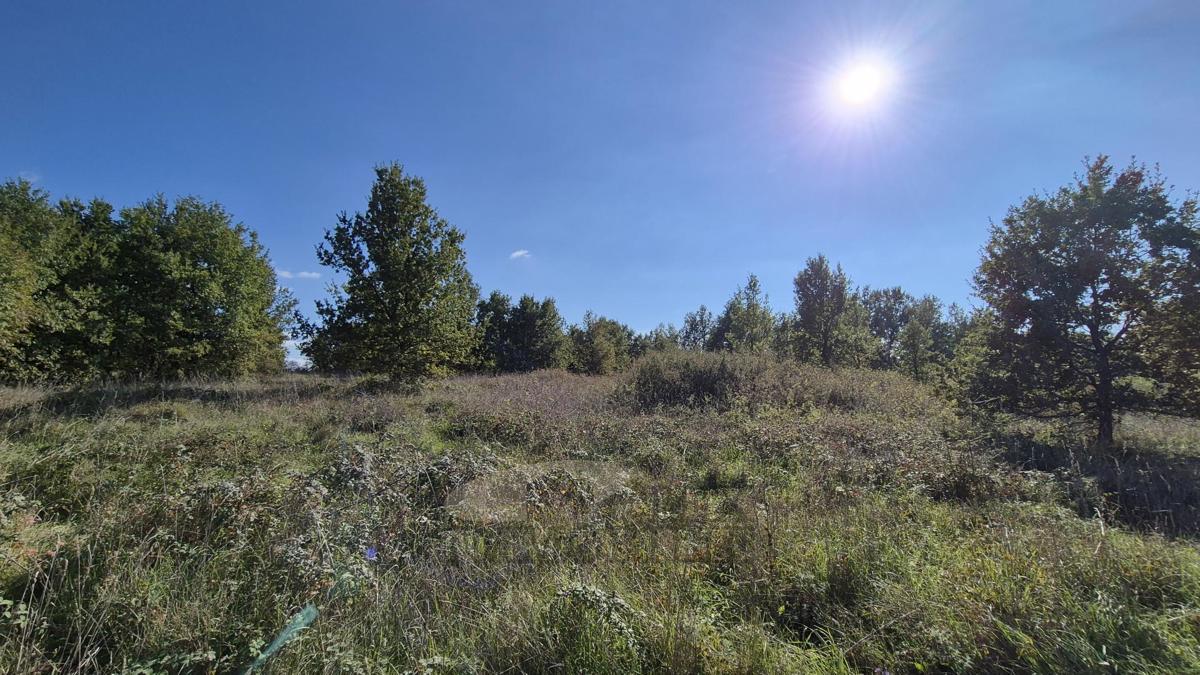 Terreni agricoli Žbandaj, Poreč, 5.930m2