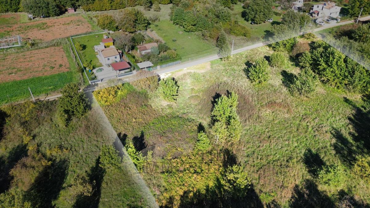Terreni agricoli Žbandaj, Poreč, 5.930m2