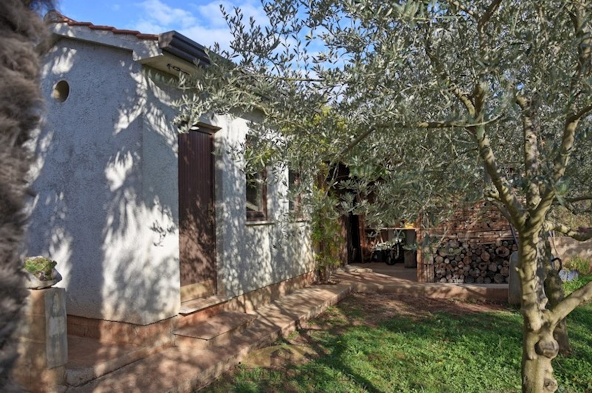 Casa con un grande giardino vicino a Parenzo