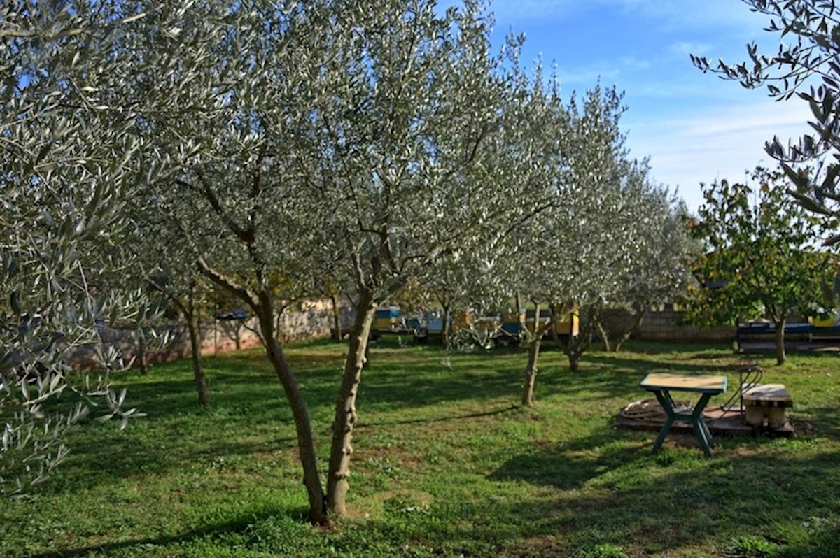 Casa con un grande giardino vicino a Parenzo