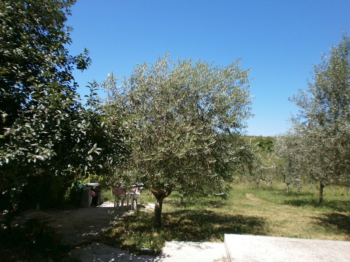 Casa Poreč, 358m2