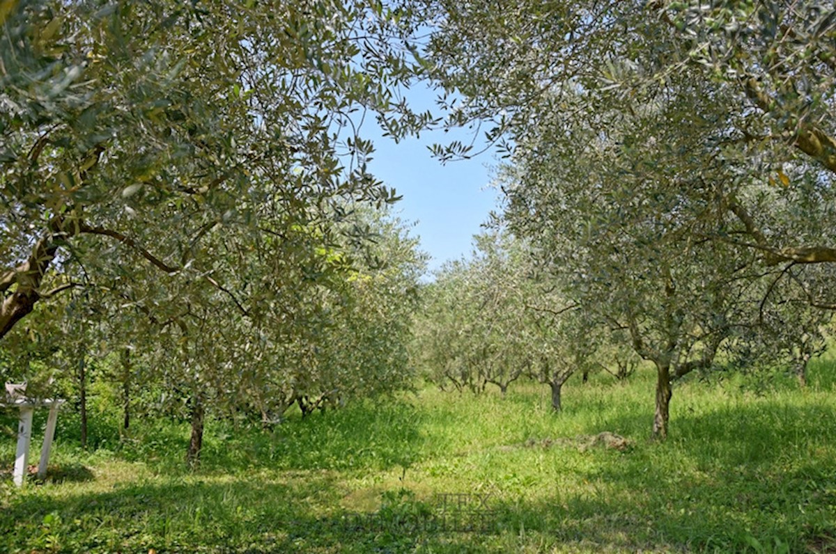 Casa Poreč, 358m2