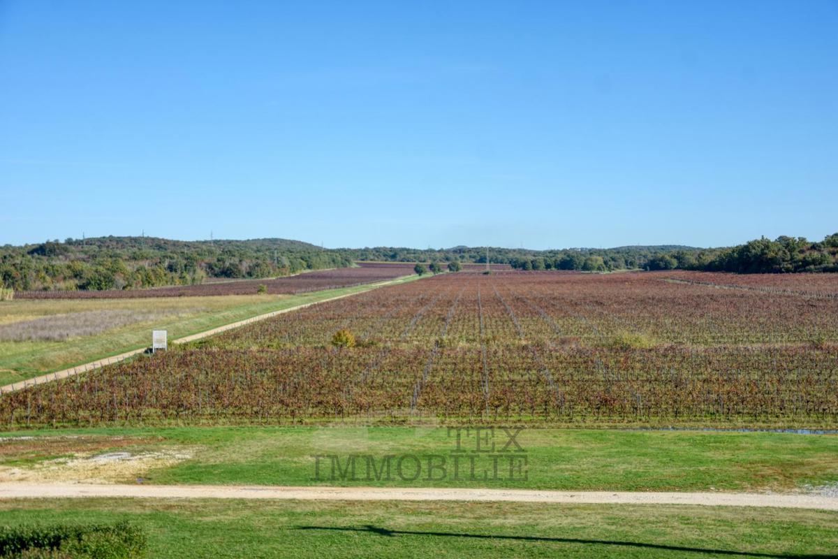 Appartamento a Funtana vicino a Parenzo e al mare 