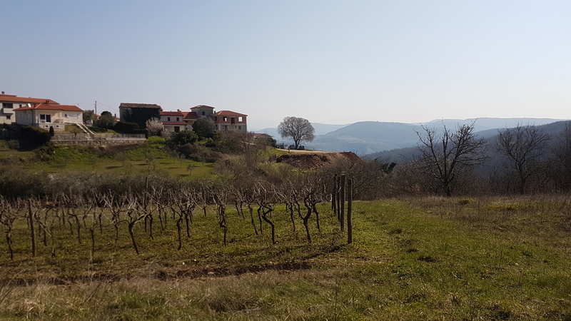 In vendita terreno edificabile di 612 m² con splendida vista su Motovun