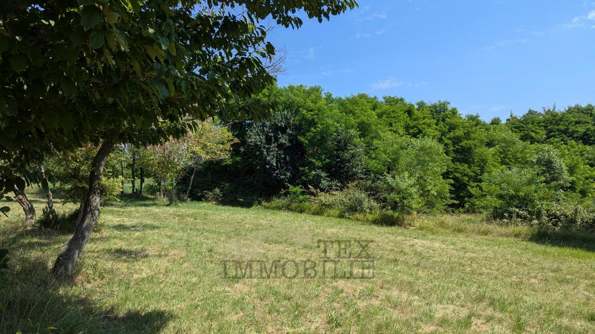 Terreno edificabilea Višnjan 