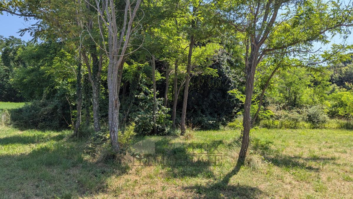 Terreno edificabilea Višnjan 