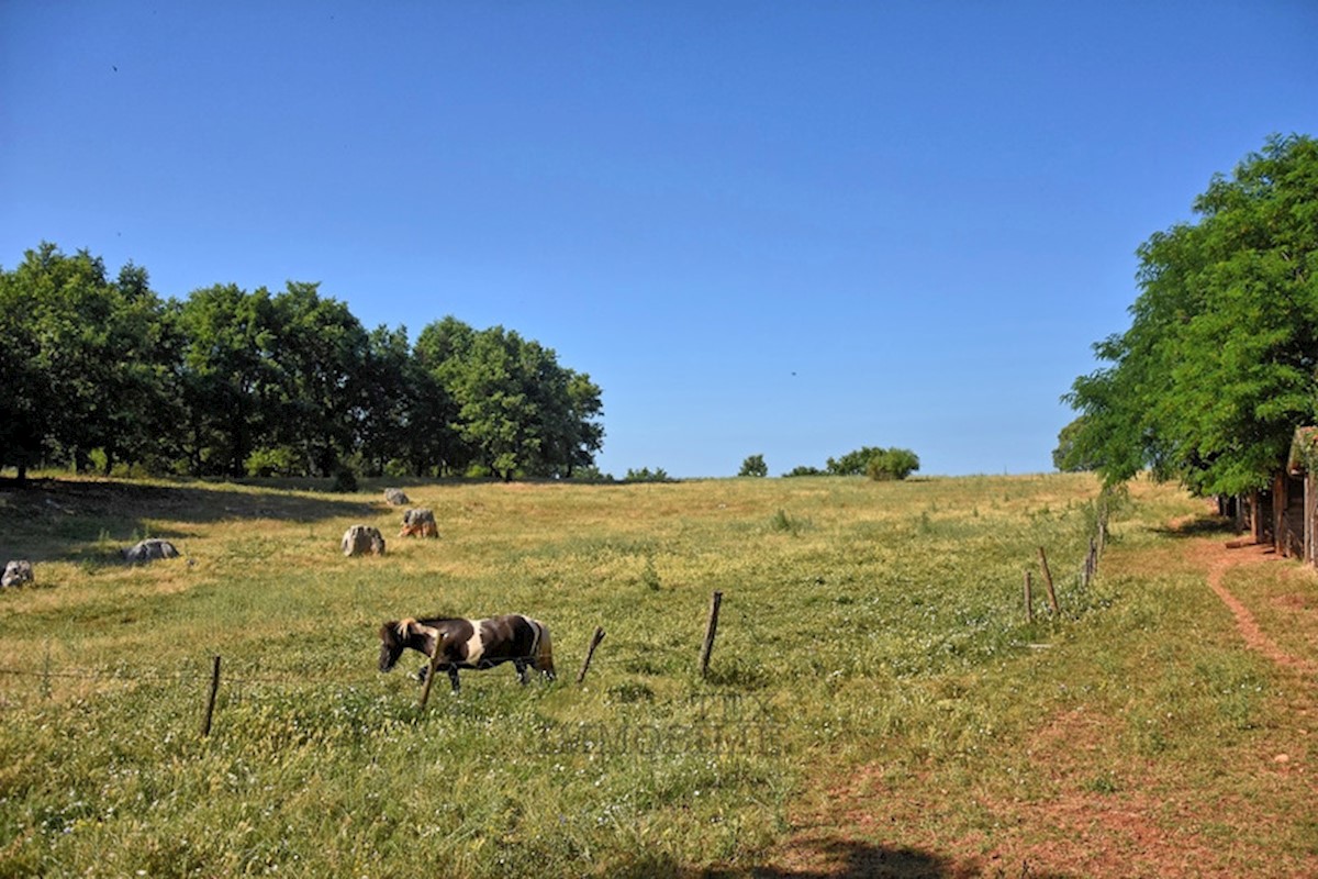 Una grande proprietà di 48.034 m2 nelle vicinanze di Parenzo