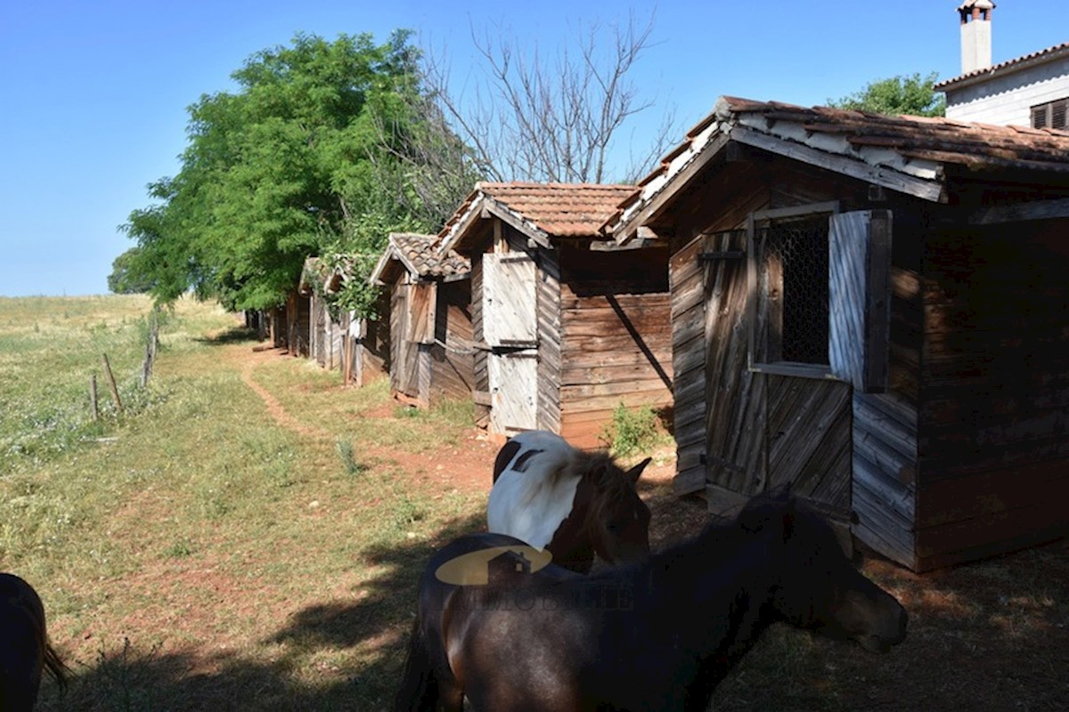 Una grande proprietà di 48.034 m2 nelle vicinanze di Parenzo