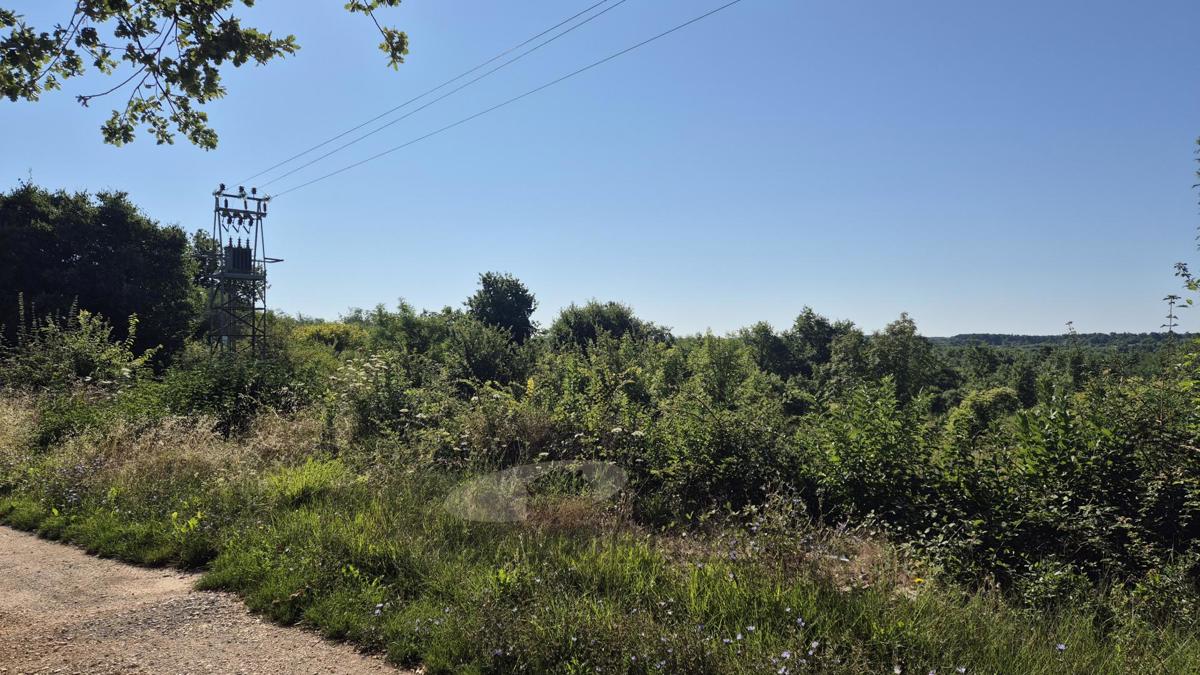 Poreč – Terreno edificabile e agricolo, 28.700 m²