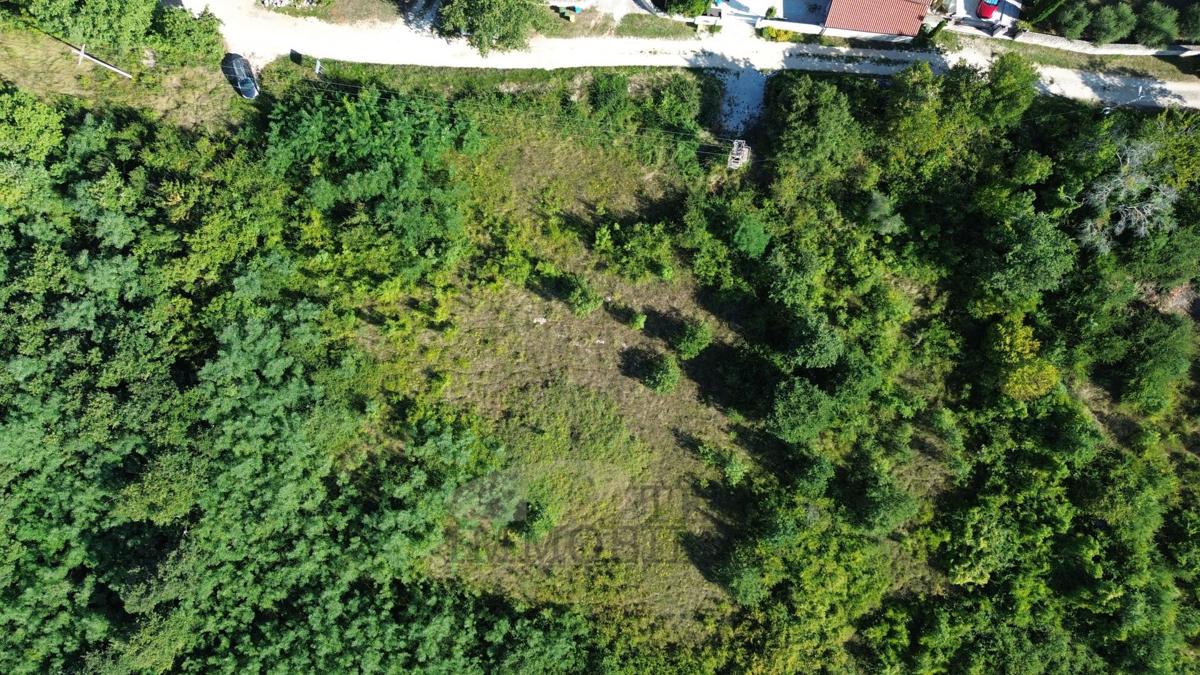 Poreč – Terreno edificabile e agricolo, 28.700 m²
