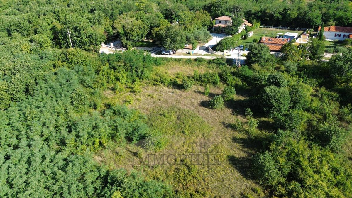 Poreč – Terreno edificabile e agricolo, 28.700 m²