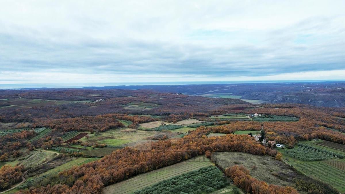 Terreno edificabile 970 m² – Vižinada, Istria