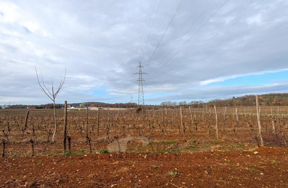 Terreno agricolo a Poreč – 18.000 m² con edificio agricolo