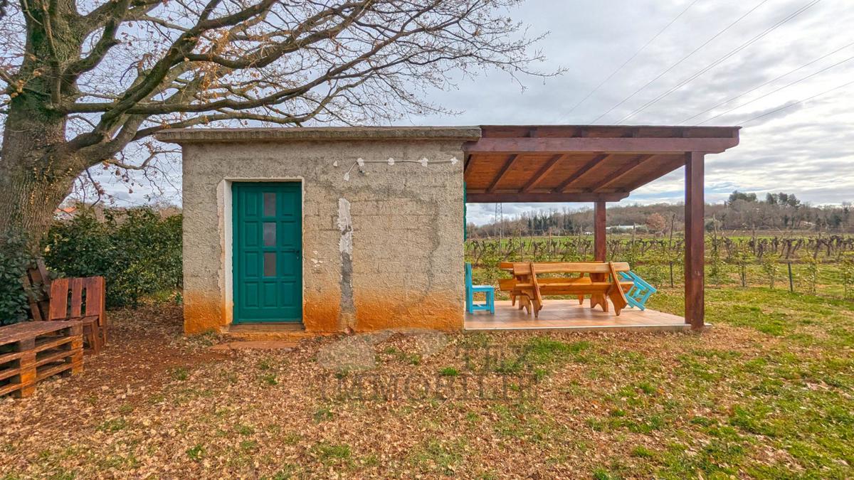 Terreno agricolo a Poreč – 18.000 m² con edificio agricolo