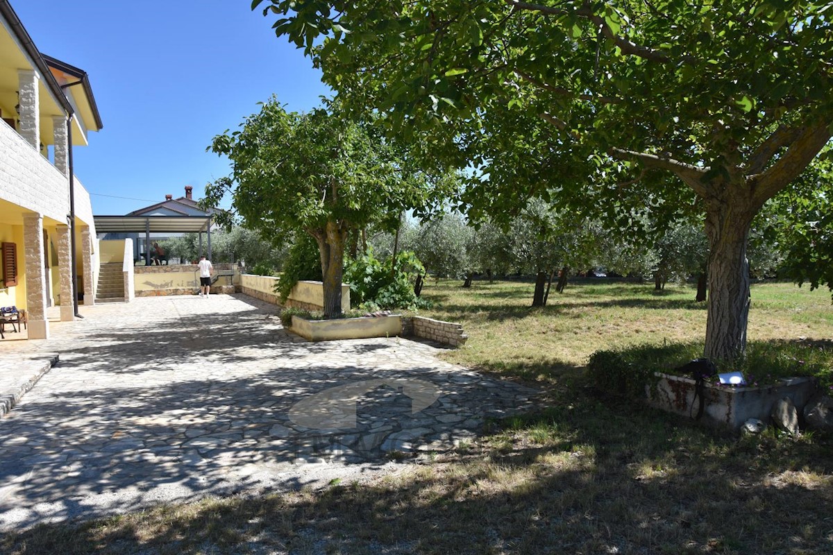 Casa con uliveto e vista mare vicino a Parenzo