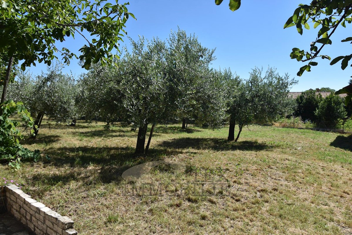 Casa con uliveto e vista mare vicino a Parenzo