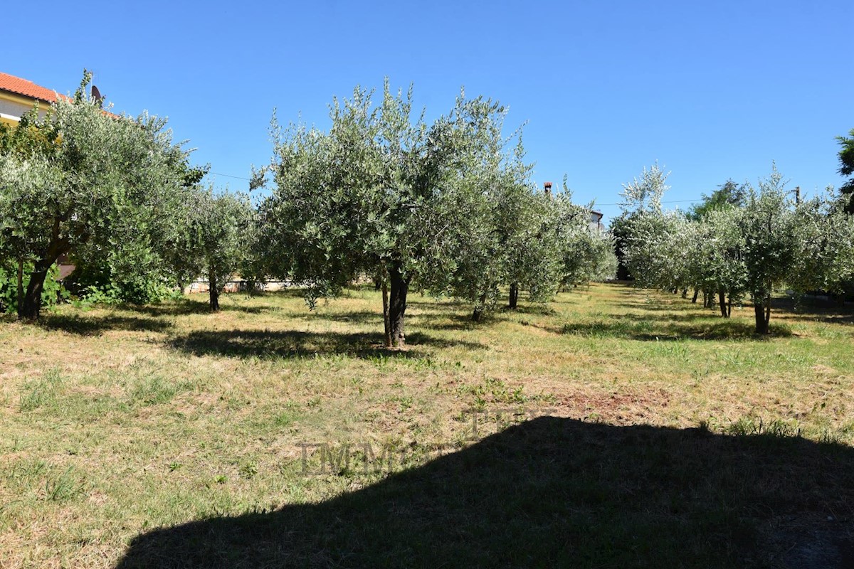 Casa con uliveto e vista mare vicino a Parenzo