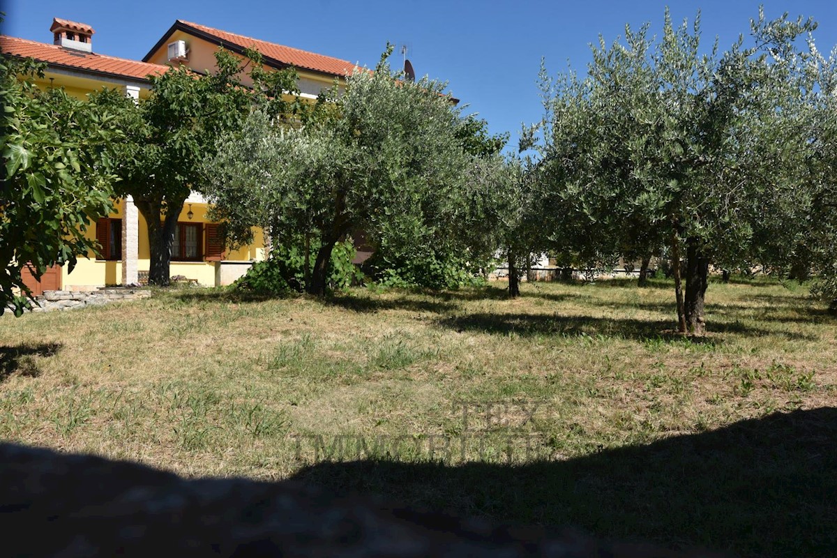 Casa con uliveto e vista mare vicino a Parenzo