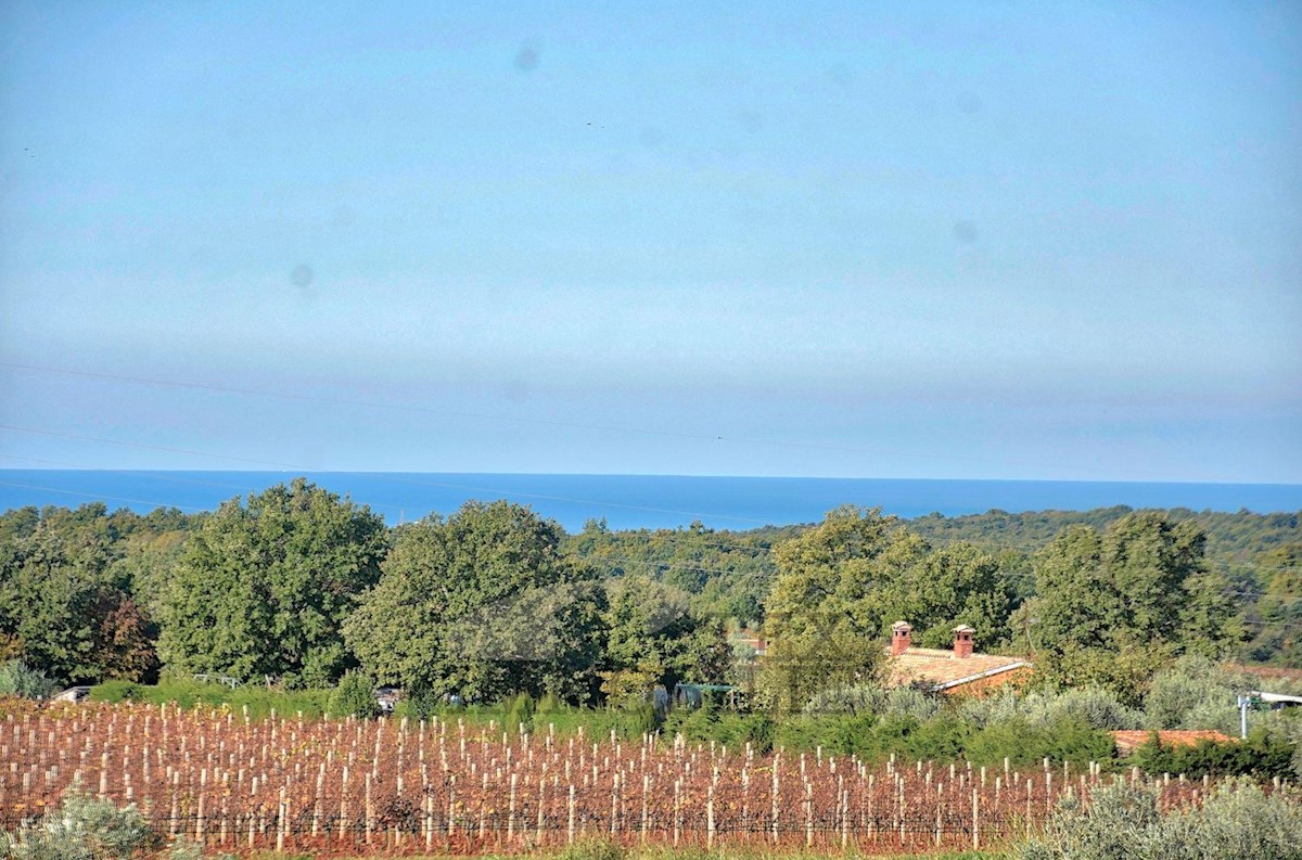 Poreč e dintorni, si vende una bellissima villa con vista mare