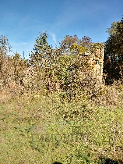 Dintorni di Parenzo, terreno edificabile e agricolo di 34.000 m2