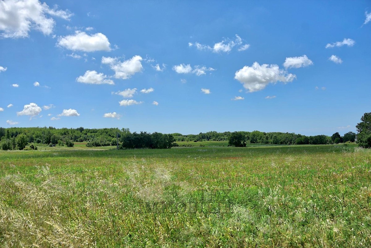 Zona di Parenzo, terreno agricolo, 32619 m2