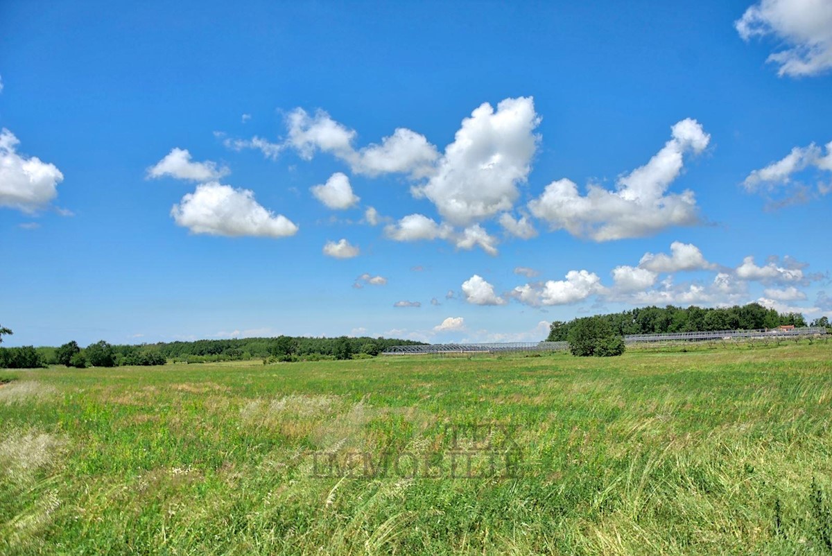 Zona di Parenzo, terreno agricolo, 32619 m2