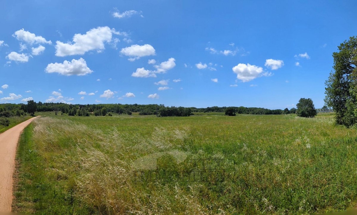 Zona di Parenzo, terreno agricolo, 32619 m2