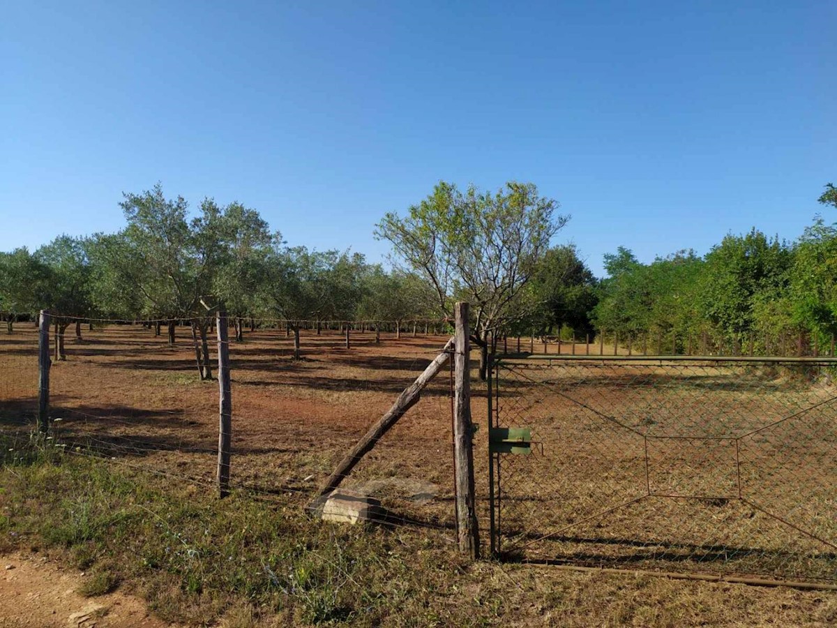 Terreni agricoli Poreč, 8841 m2