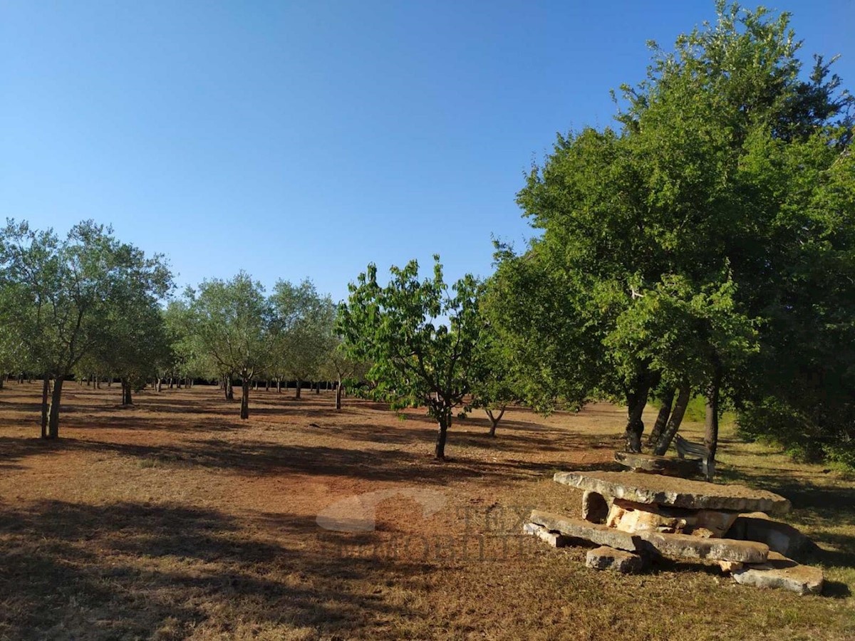 Terreni agricoli Poreč, 8841 m2