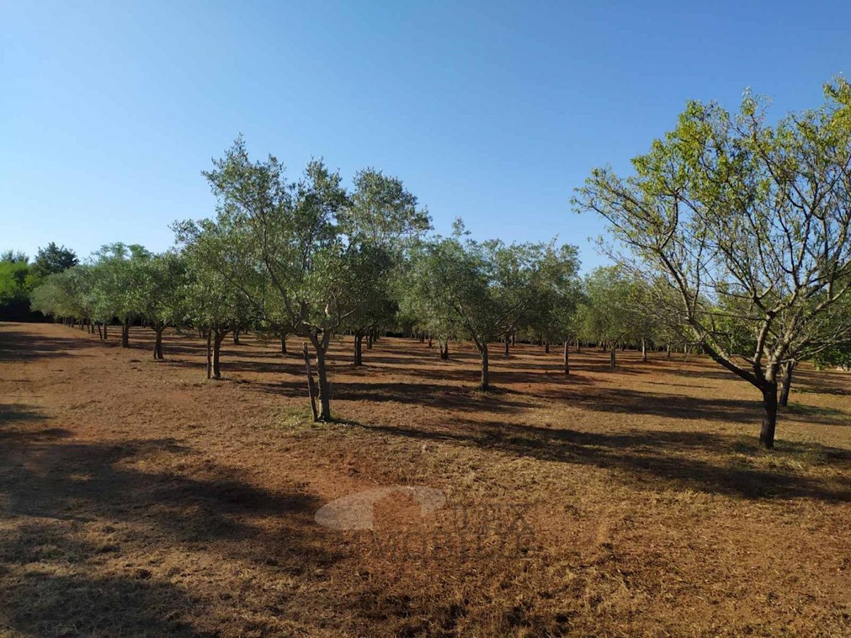 Terreni agricoli Poreč, 8841 m2