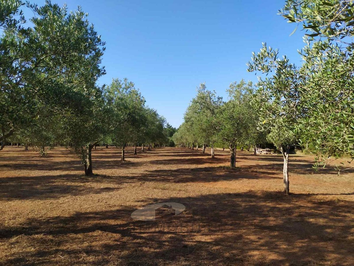 Terreni agricoli Poreč, 8841 m2