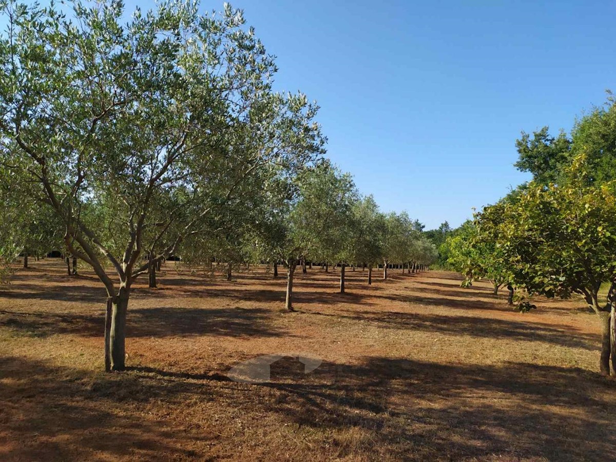 Terreni agricoli Poreč, 8841 m2